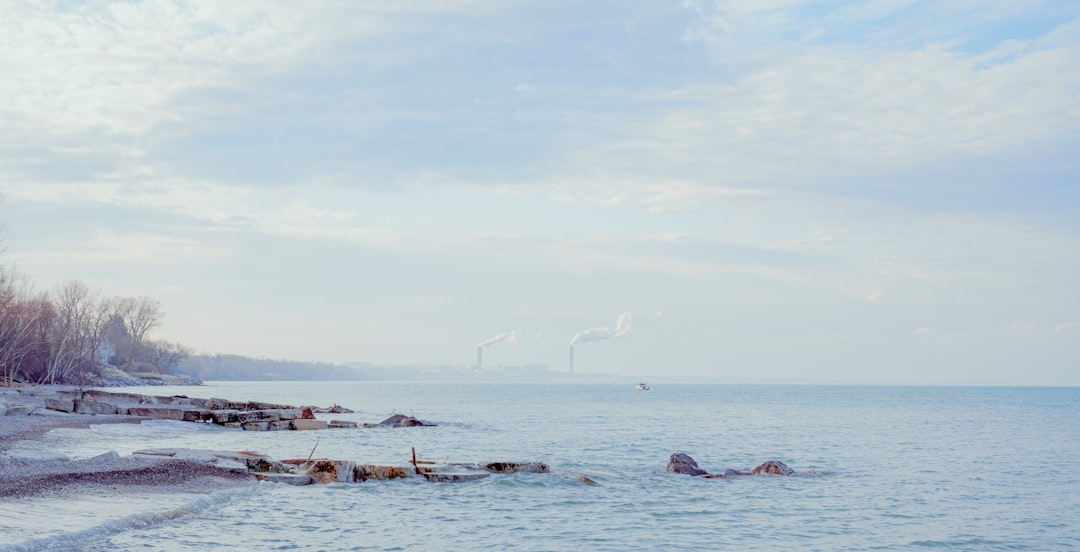 people on beach during daytime