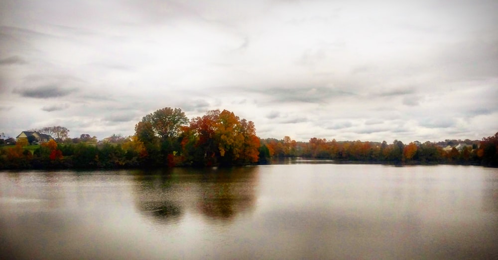 green trees beside lake under cloudy sky during daytime