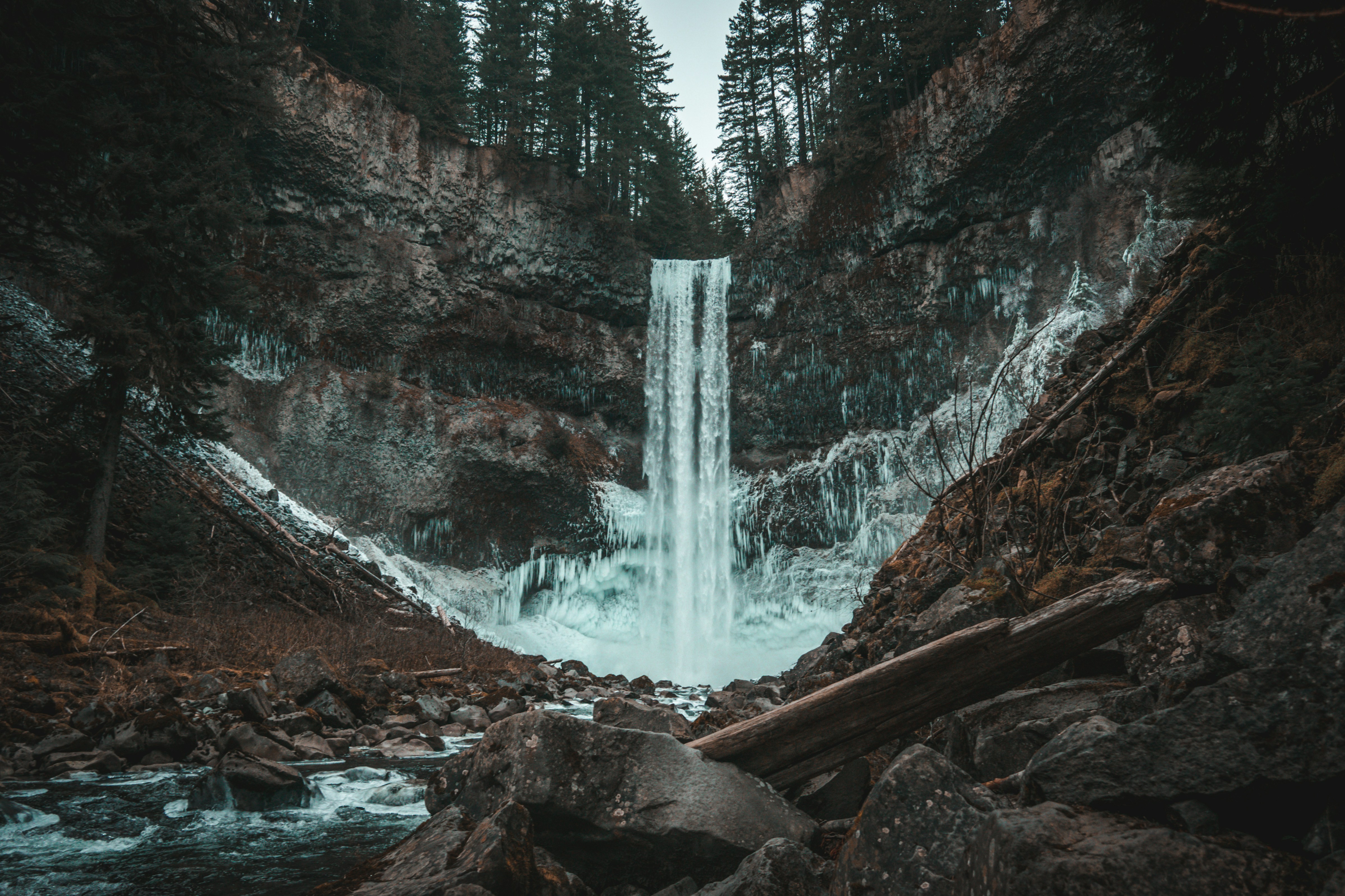 Photo by john_vicente26