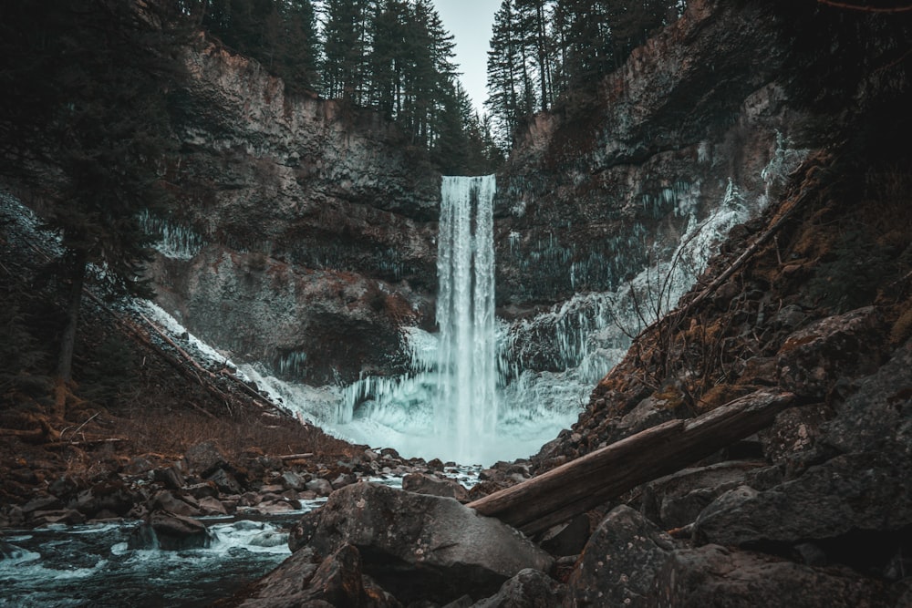 waterfalls in the middle of the forest