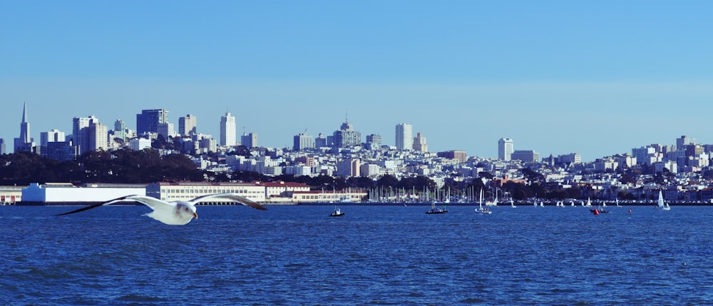 people riding boat on sea near city buildings during daytime