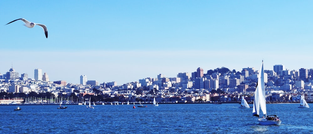 city skyline across body of water during daytime