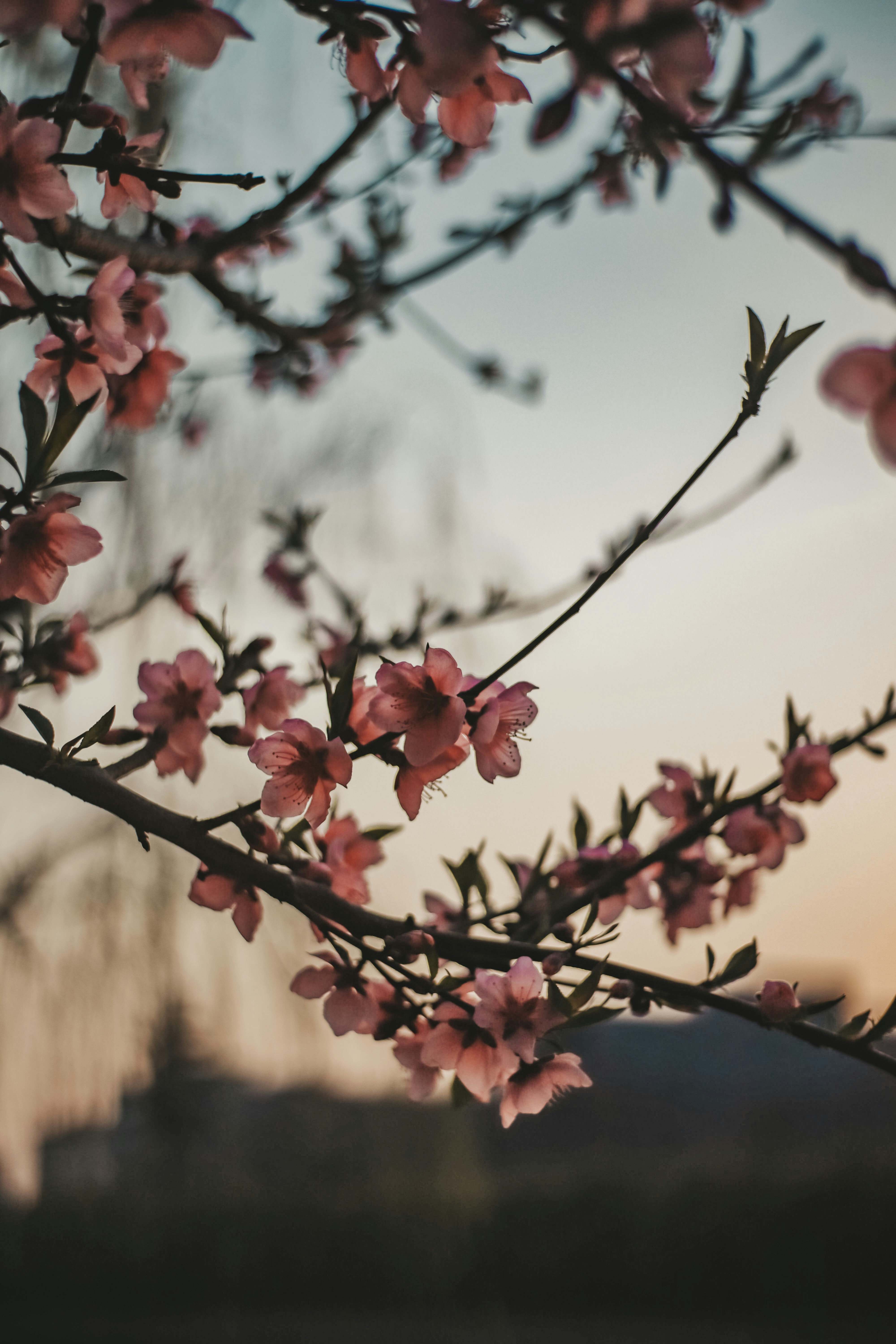 Photo by ohshoothannah