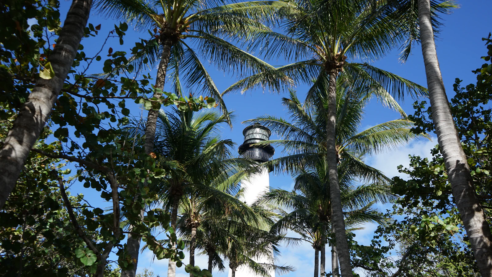 The Ritz-Carlton Key Biscayne, Miami Reopens After a $100 Million Transformation