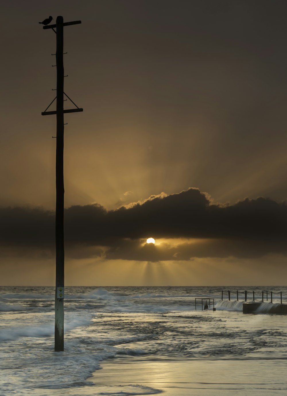 Croix blanche et noire sur la plage pendant la journée