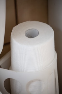 white toilet paper roll on white toilet bowl