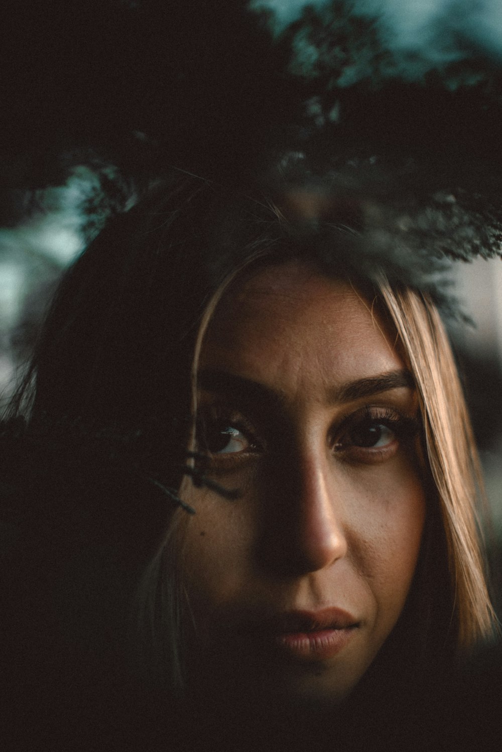 woman with brown hair and green eyes photo – Free Ca Image on Unsplash