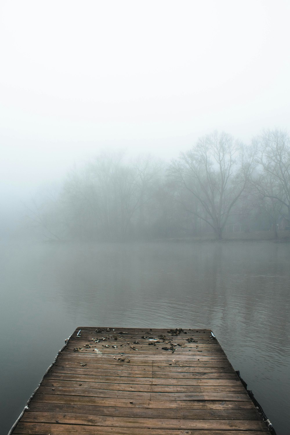 brown wooden dock on lake