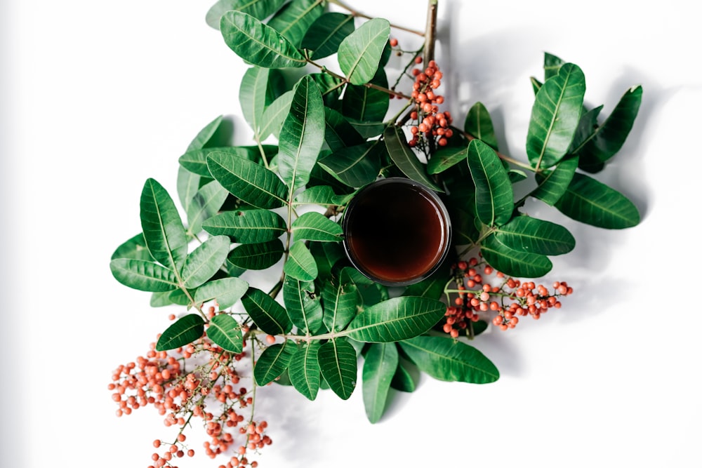 green leaves and brown ceramic mug