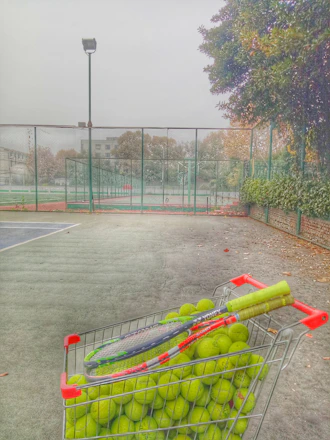 Titan pickleball machine set up on a sunny outdoor court with practice balls scattered nearby.