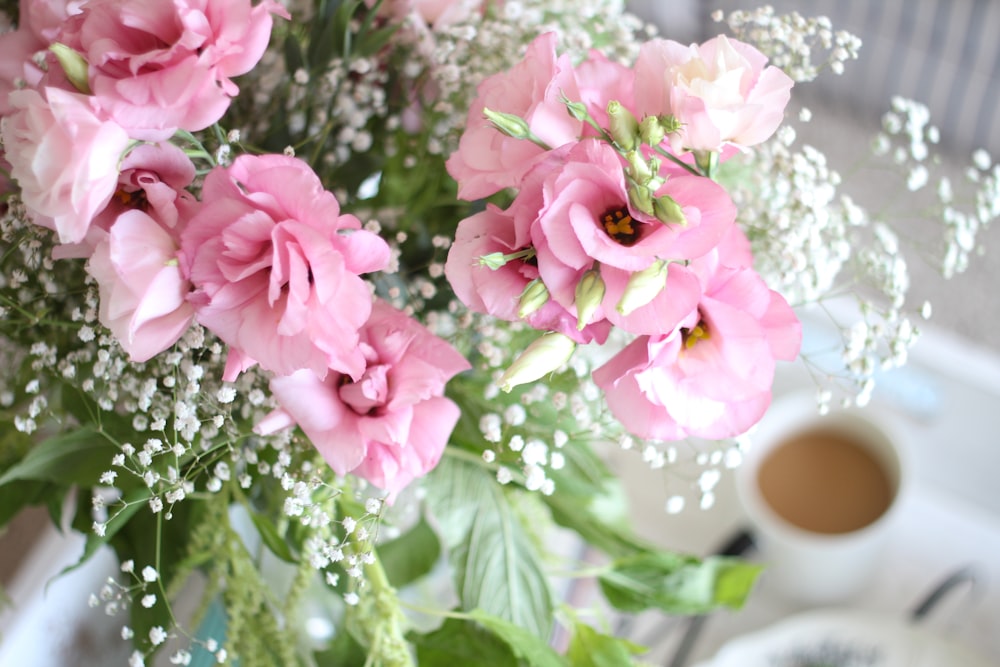 pink flowers with green leaves