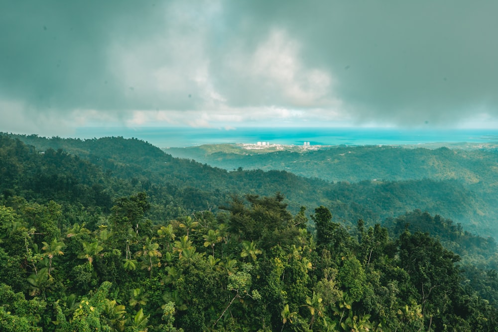 árboles verdes cerca del mar azul bajo nubes blancas y cielo azul durante el día