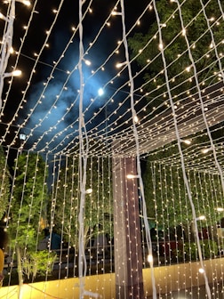 Twinkling string lights hanging between trees as evening falls on the mountain venue.