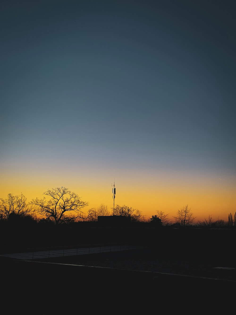 silhouette of trees during sunset