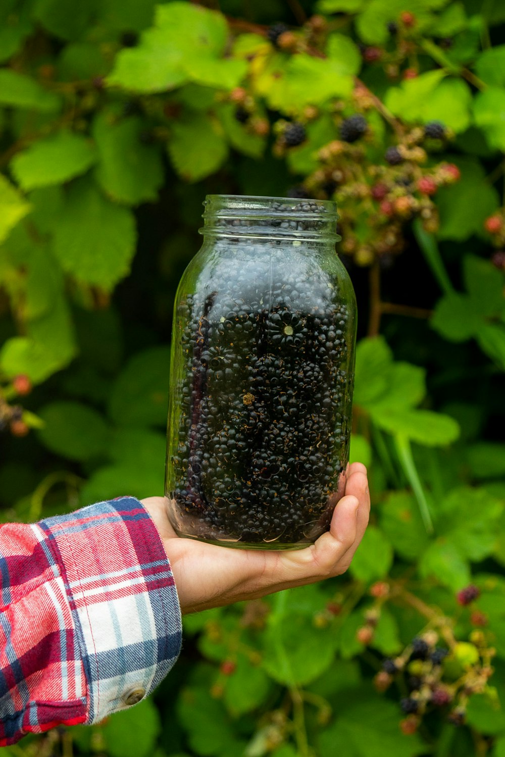 person holding clear glass jar with black beads