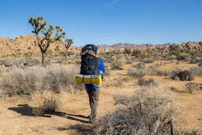 man in blue denim jeans and black backpack standing on brown grass field during daytime