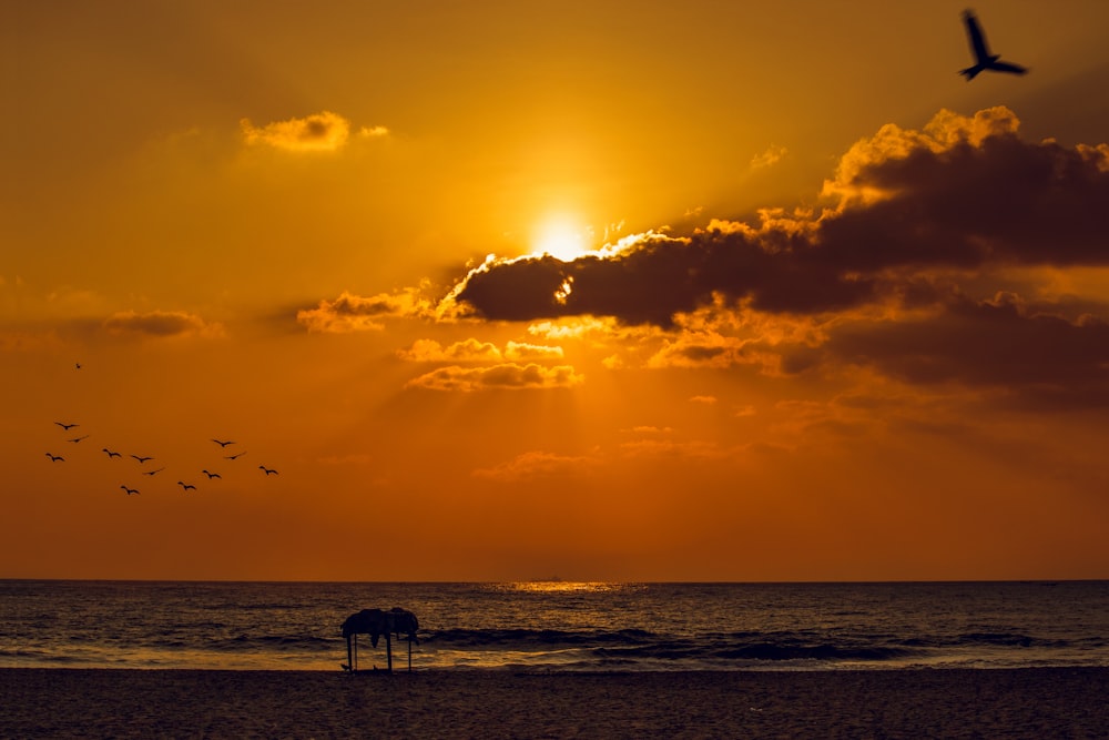 silhouette of people on beach during sunset