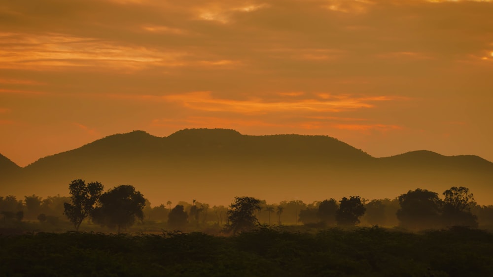 green trees and mountains during sunset