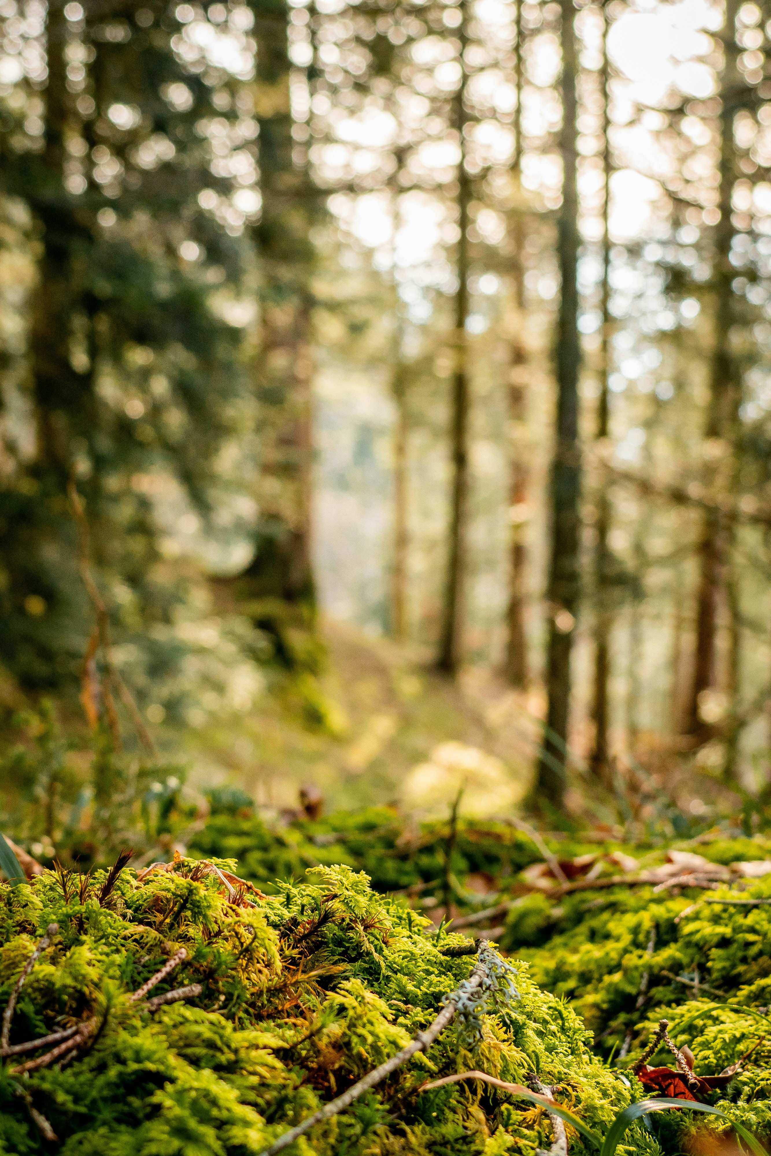 Photo by gilsenan_pictures