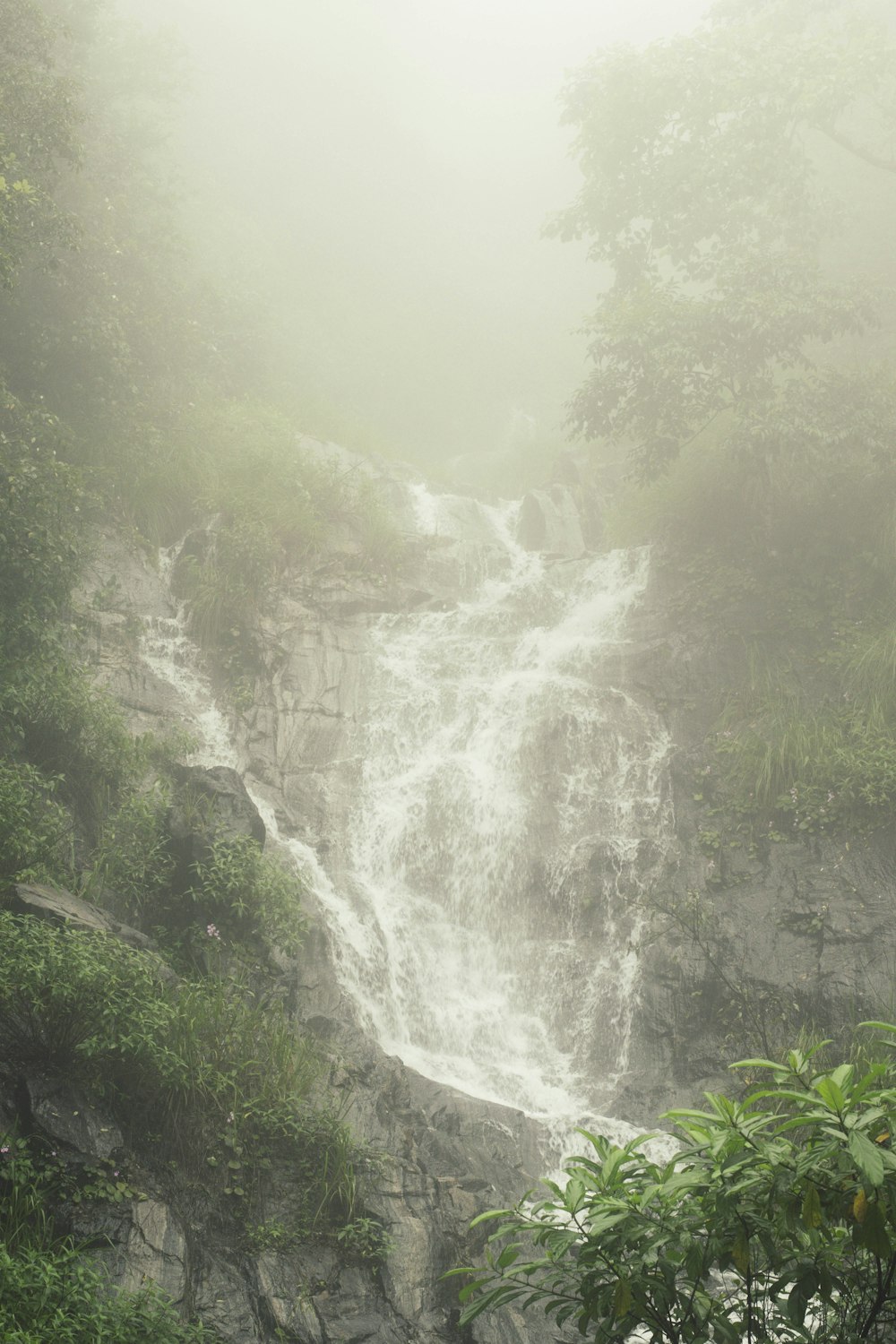 waterfalls in the middle of green trees