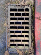 A rectangular metal drainage grate is embedded in the ground, surrounded by a mix of concrete and dried leaves. The grate has vertical and horizontal bars forming small rectangular openings. There is some moss and dirt accumulating around the edges, and part of the surrounding surface is painted red.