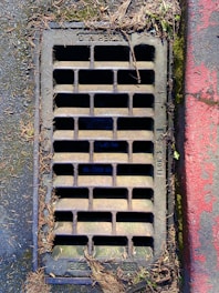 A rectangular metal drainage grate is embedded in the ground, surrounded by a mix of concrete and dried leaves. The grate has vertical and horizontal bars forming small rectangular openings. There is some moss and dirt accumulating around the edges, and part of the surrounding surface is painted red.