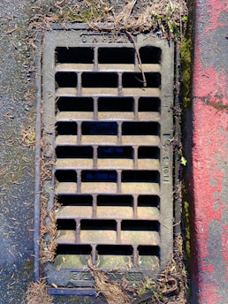 A rectangular metal drainage grate is embedded in the ground, surrounded by a mix of concrete and dried leaves. The grate has vertical and horizontal bars forming small rectangular openings. There is some moss and dirt accumulating around the edges, and part of the surrounding surface is painted red.