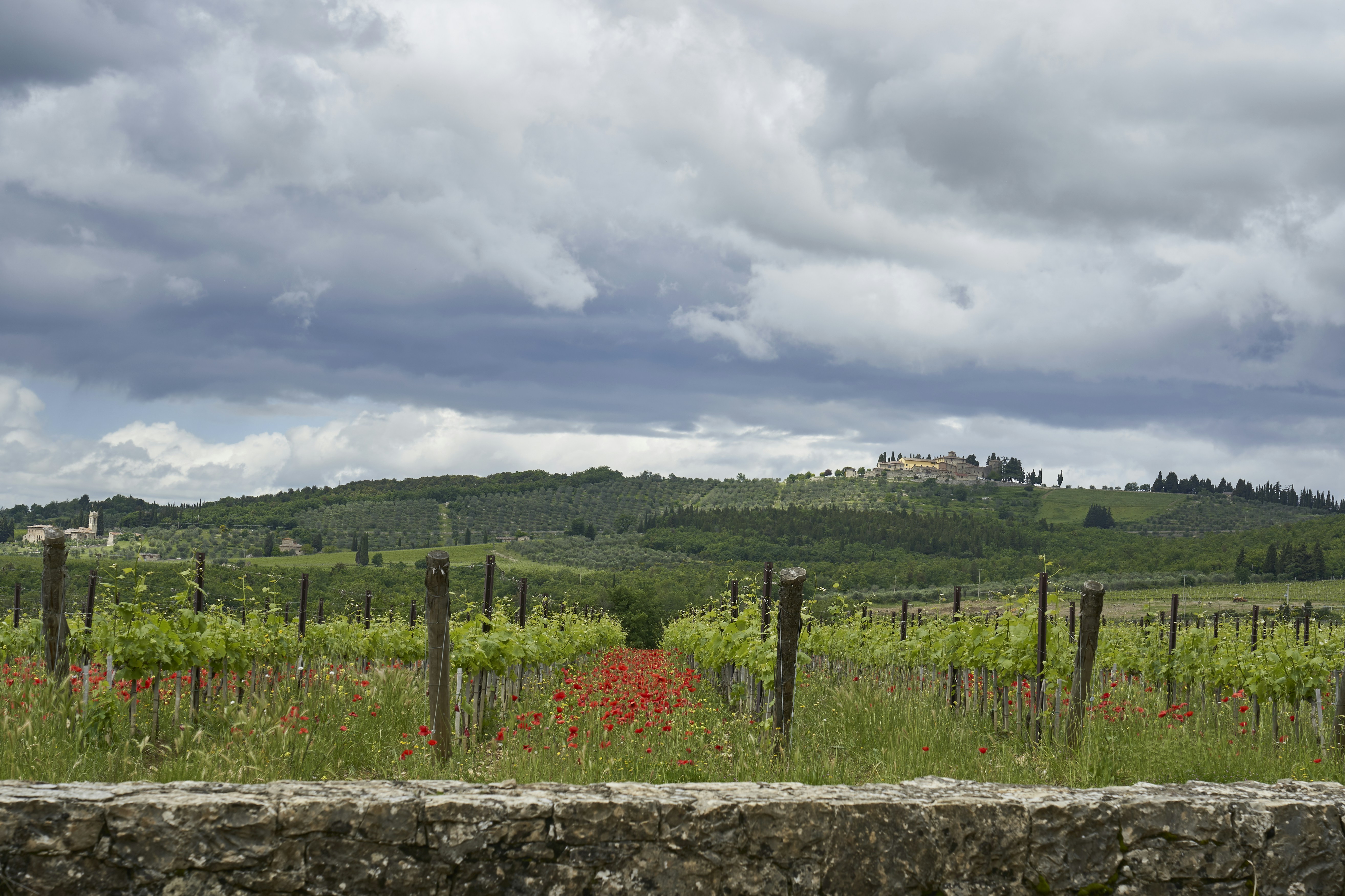 Photo by wolfgang_hasselmann