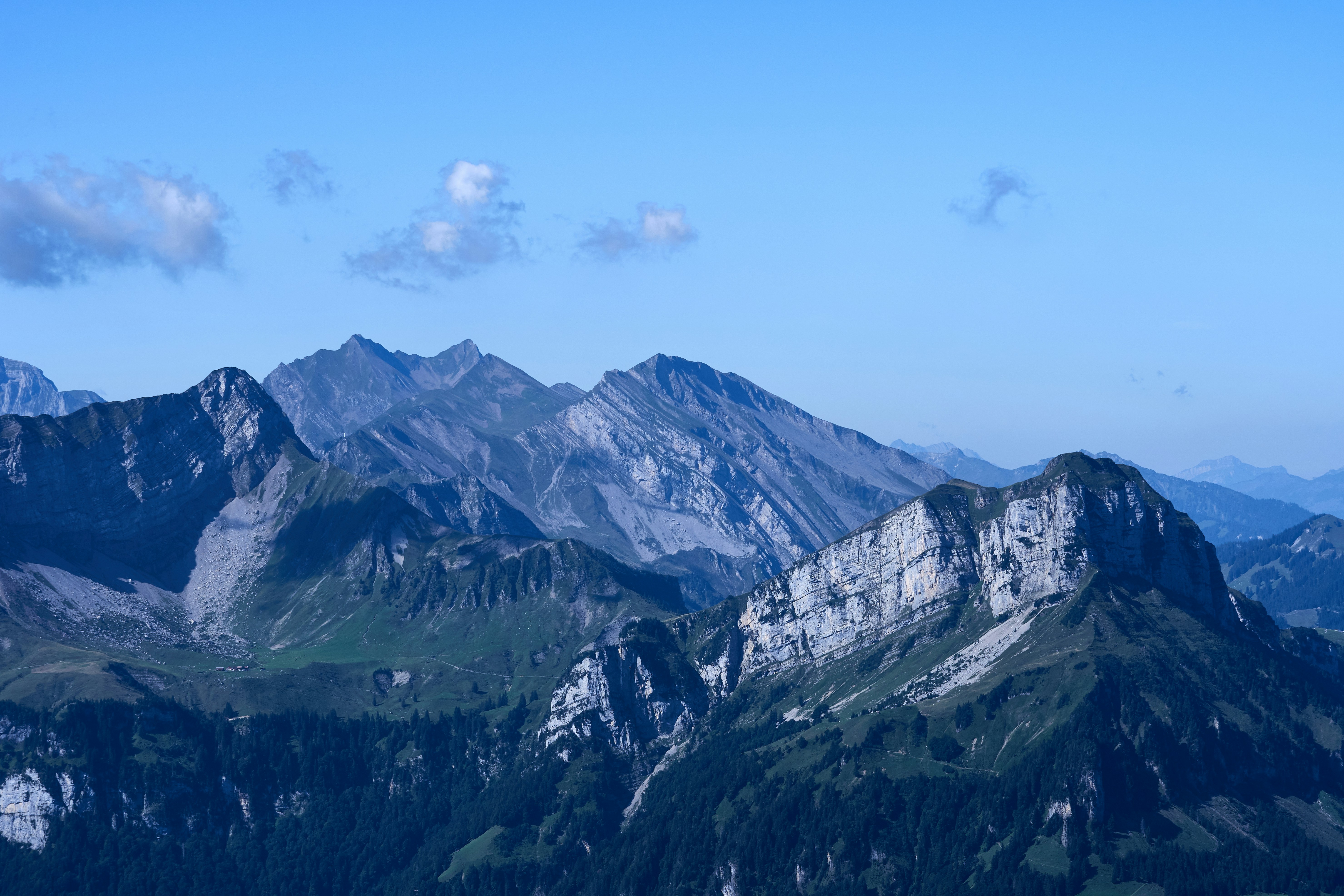 Photo by wolfgang_hasselmann