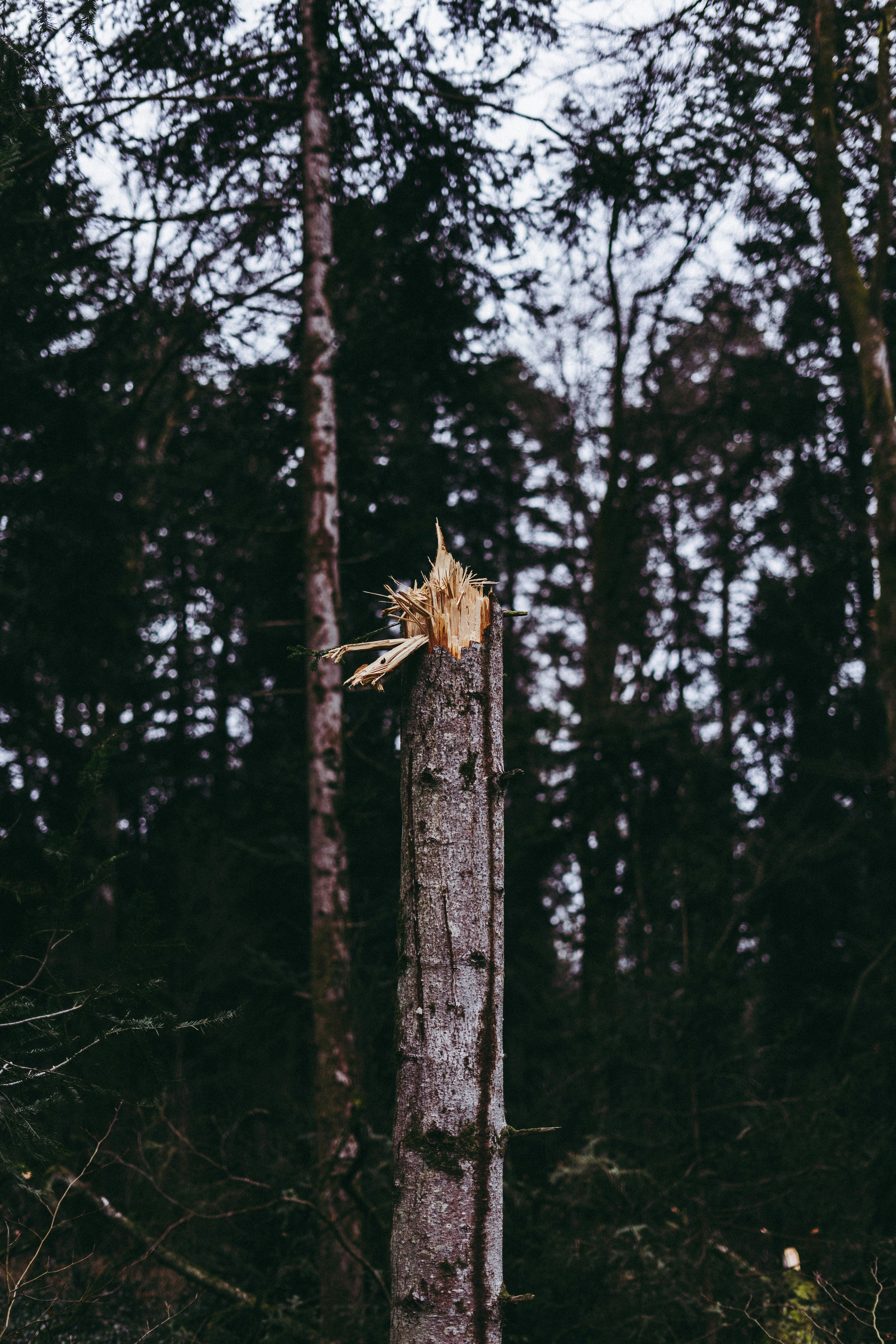 Photo by virussinside