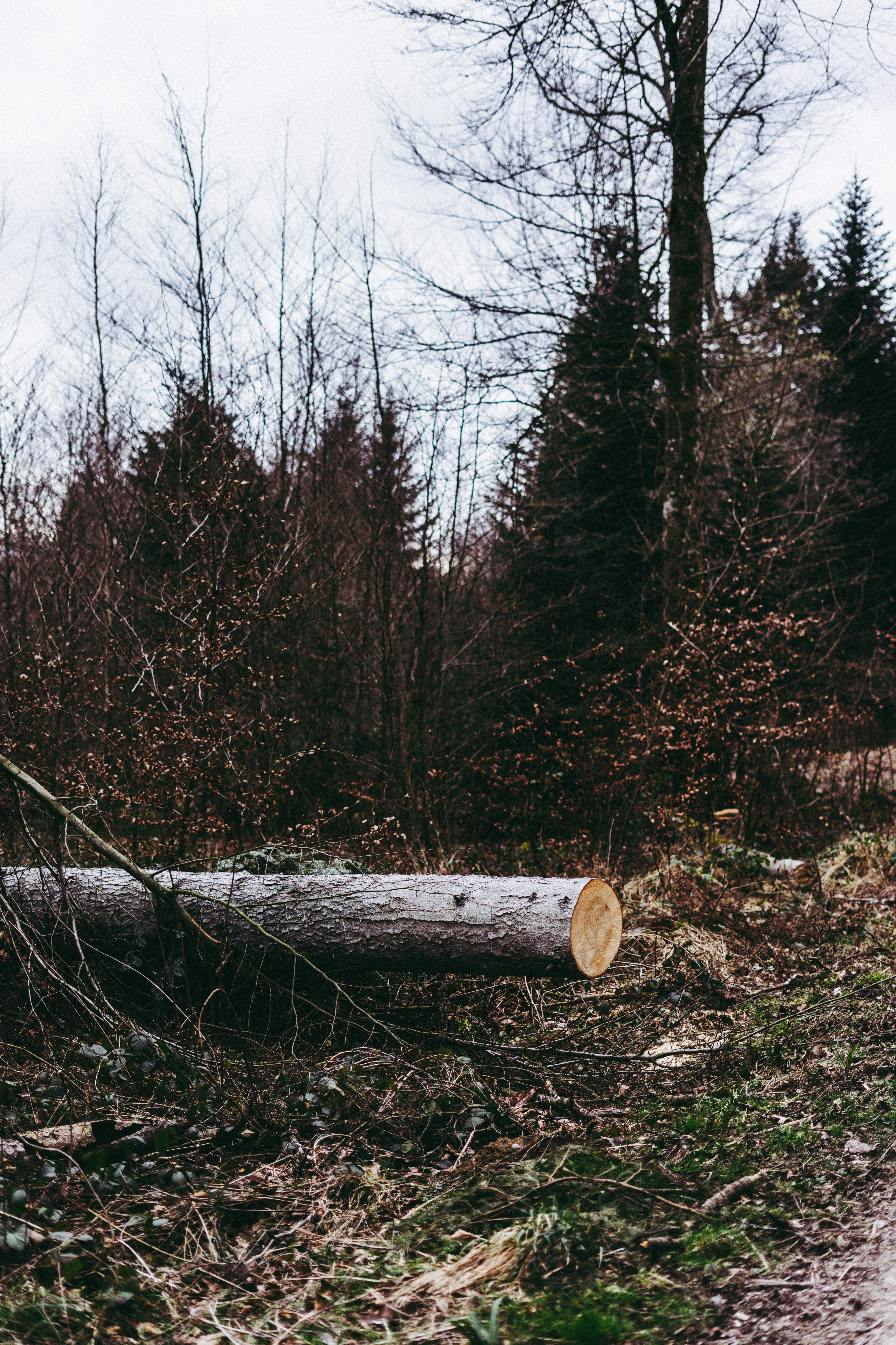 Photo by virussinside