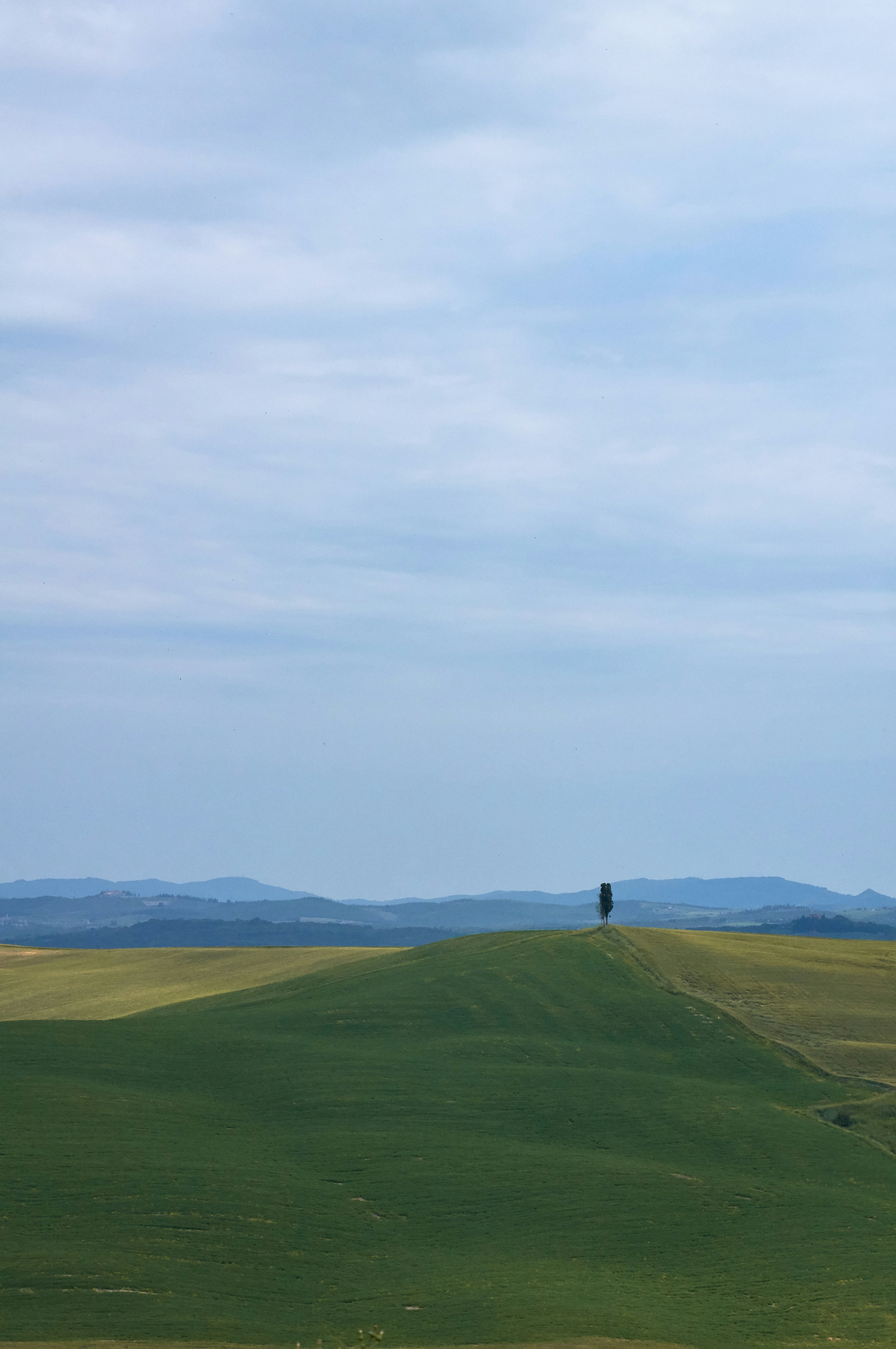 Photo by wolfgang_hasselmann