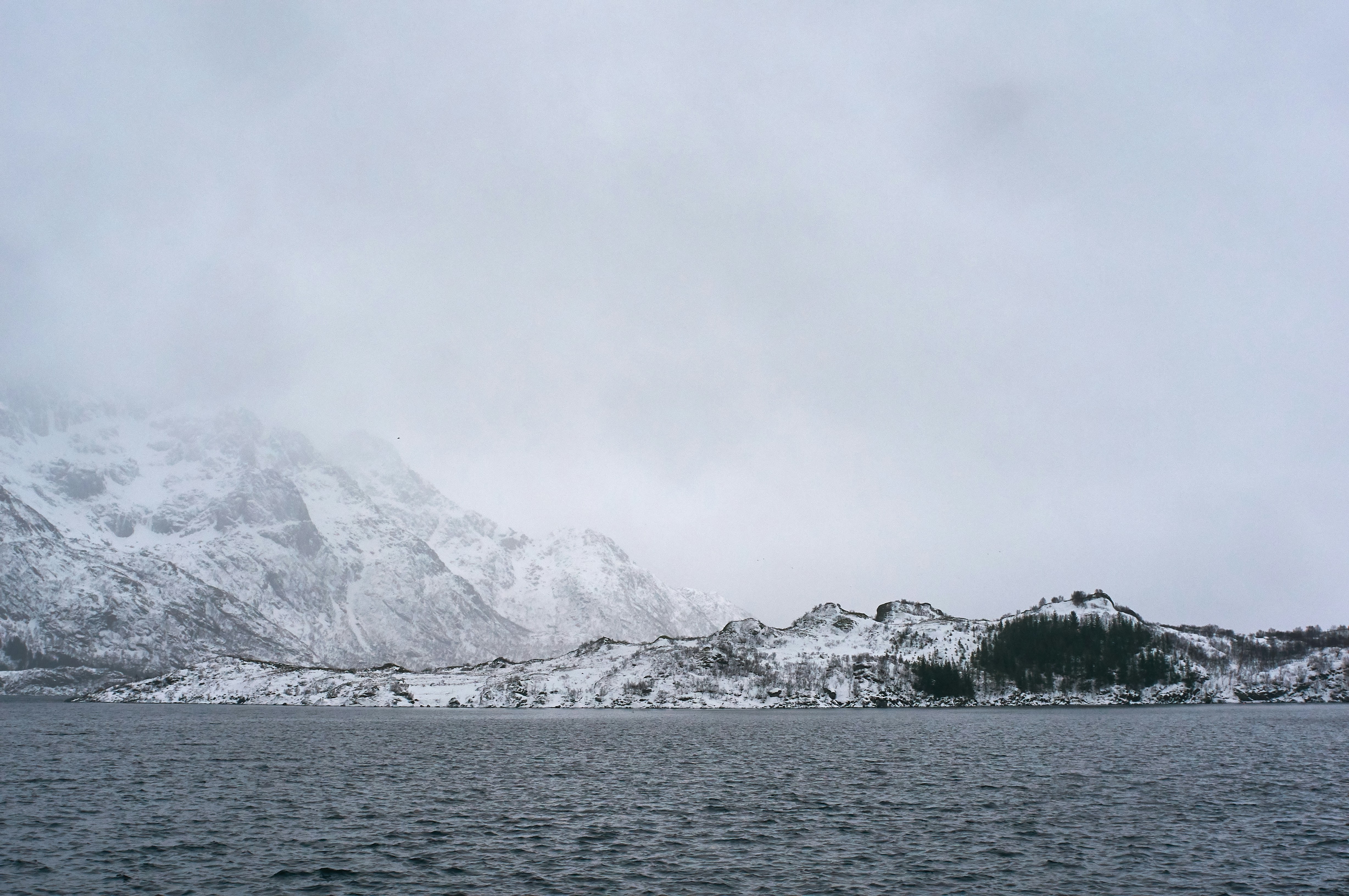 Photo by wolfgang_hasselmann