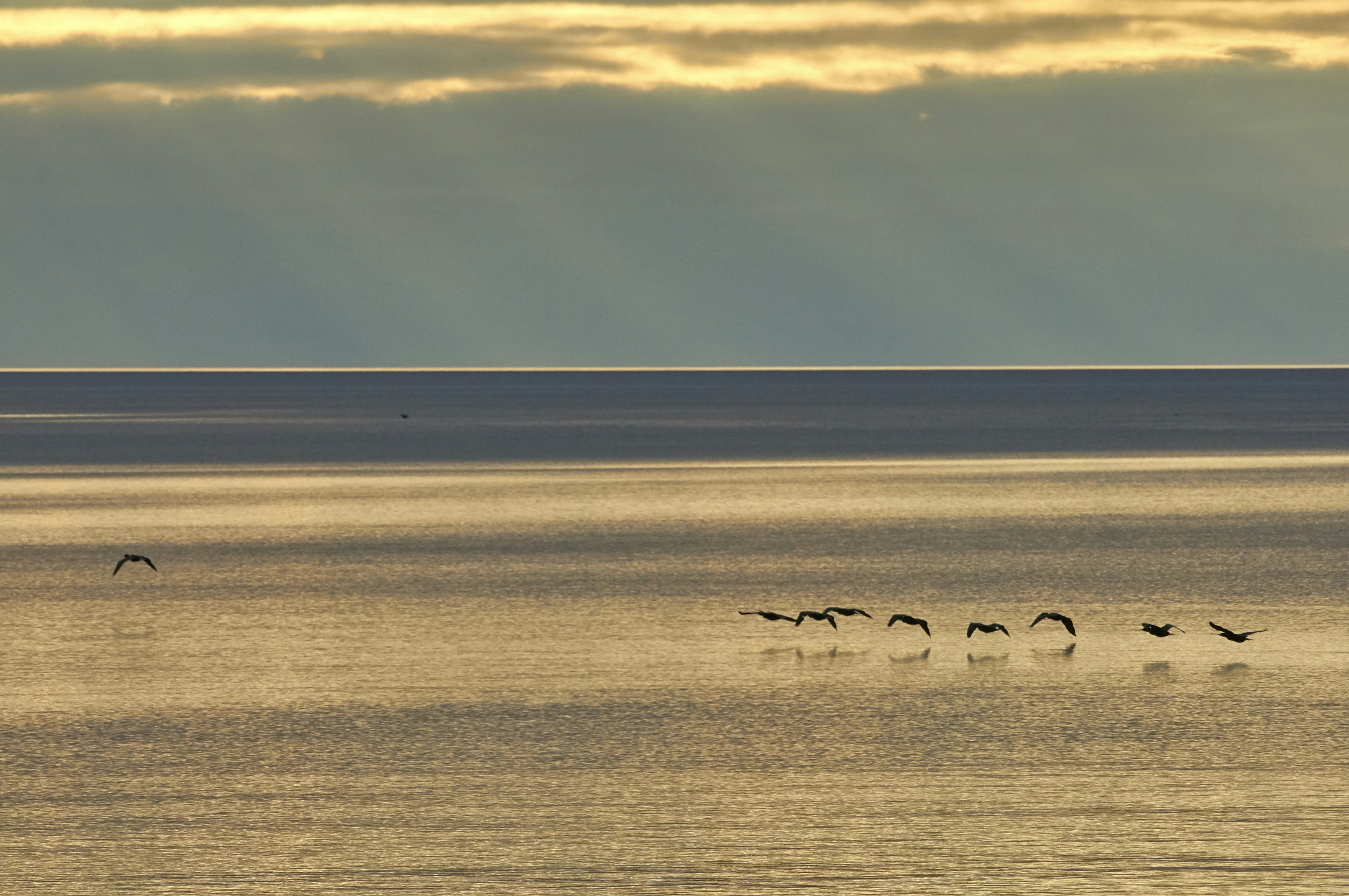 Photo by wolfgang_hasselmann