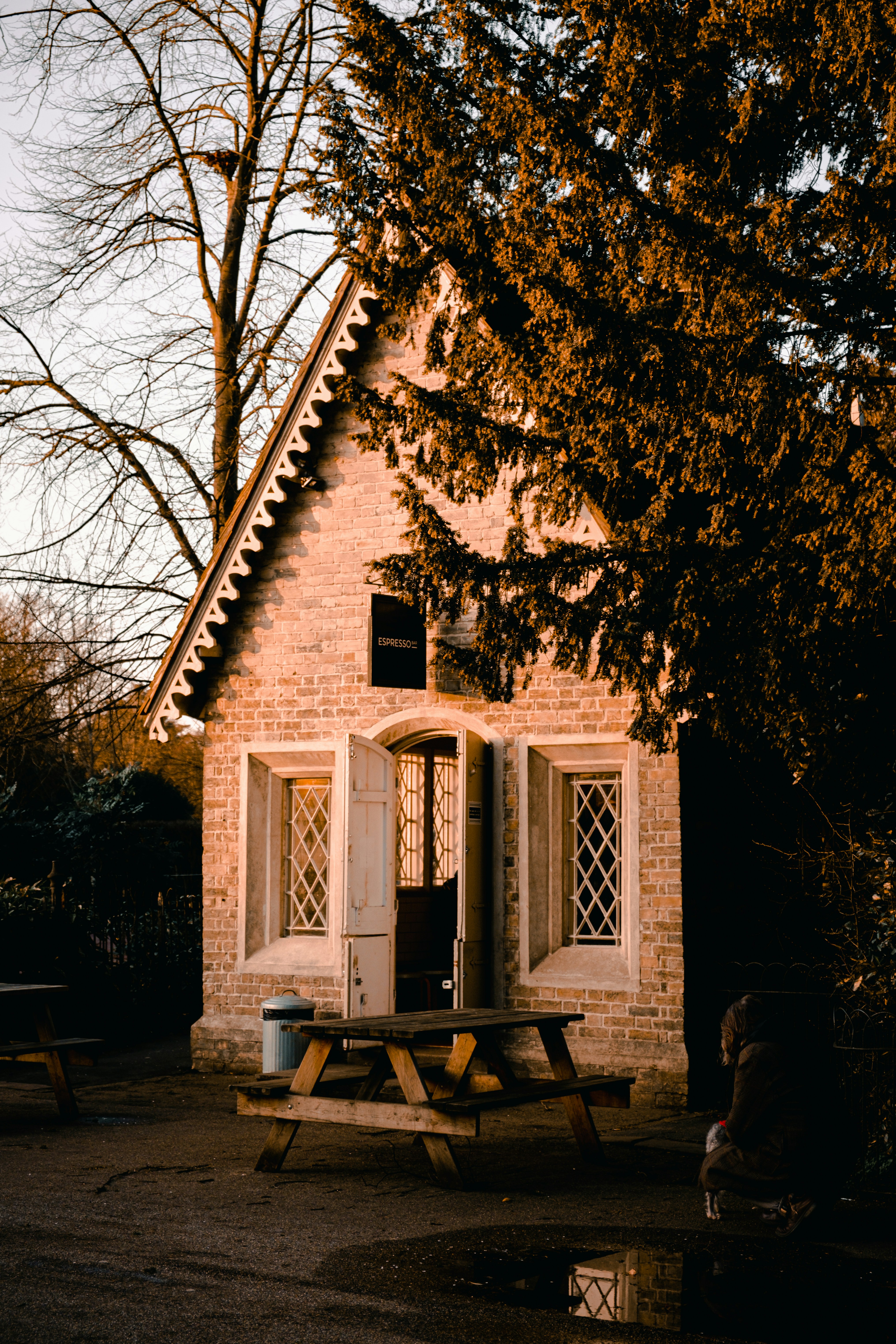 Photo by tomjuggins_uk