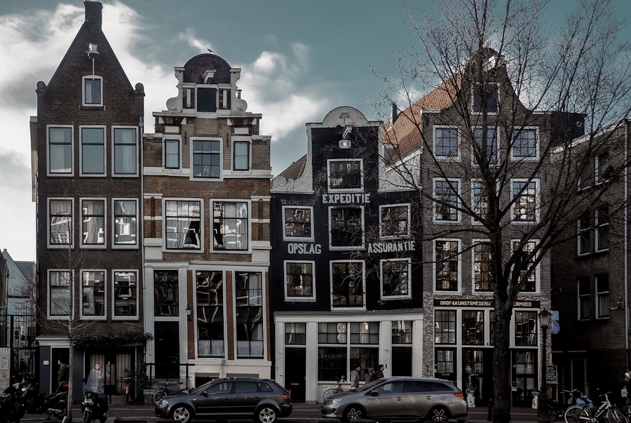 Tulips blooming in front of Amsterdam canal houses in spring sunshine