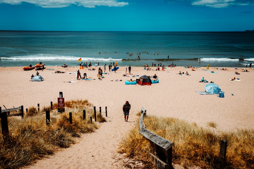 personnes sur la plage pendant la journée