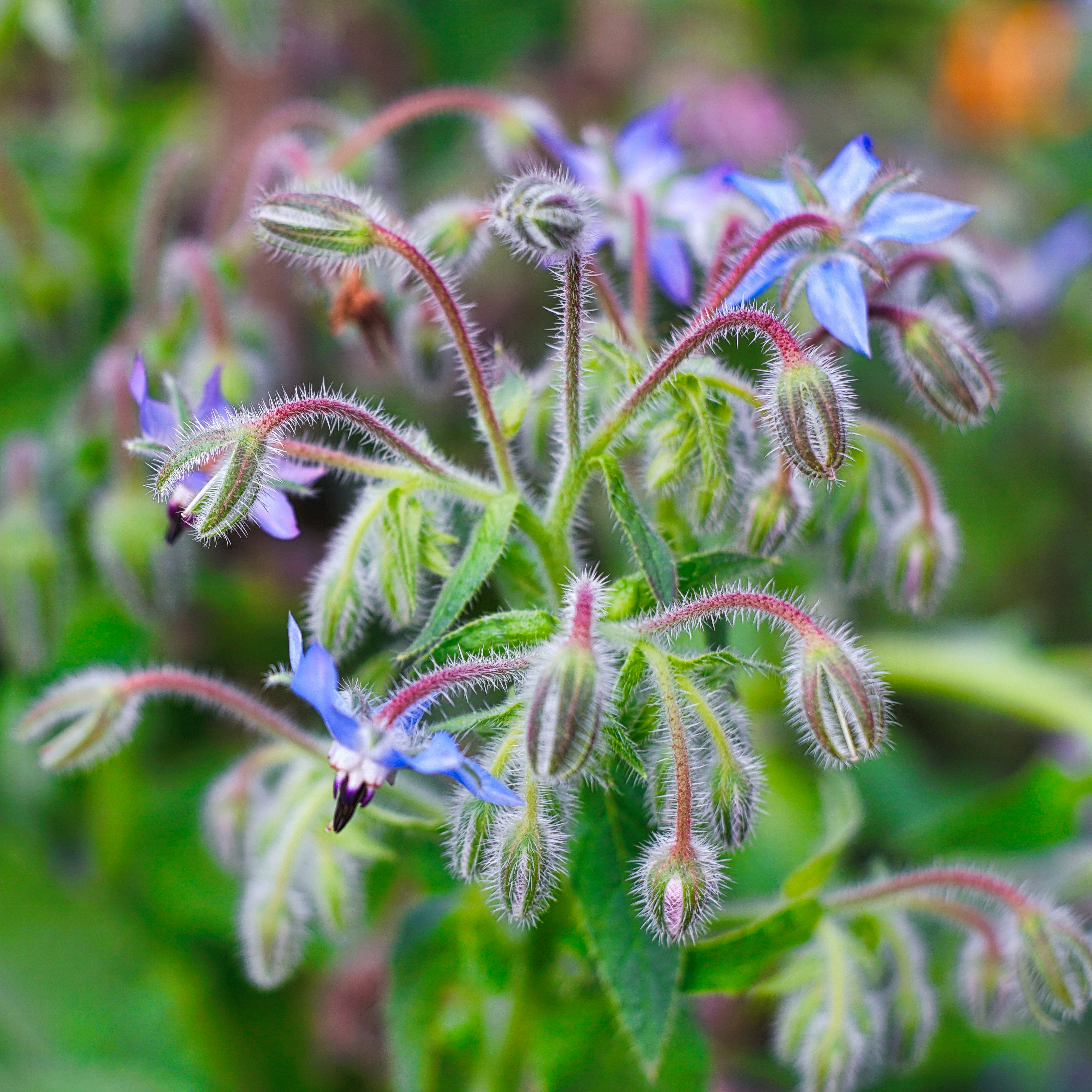 Photo by thomaskinto