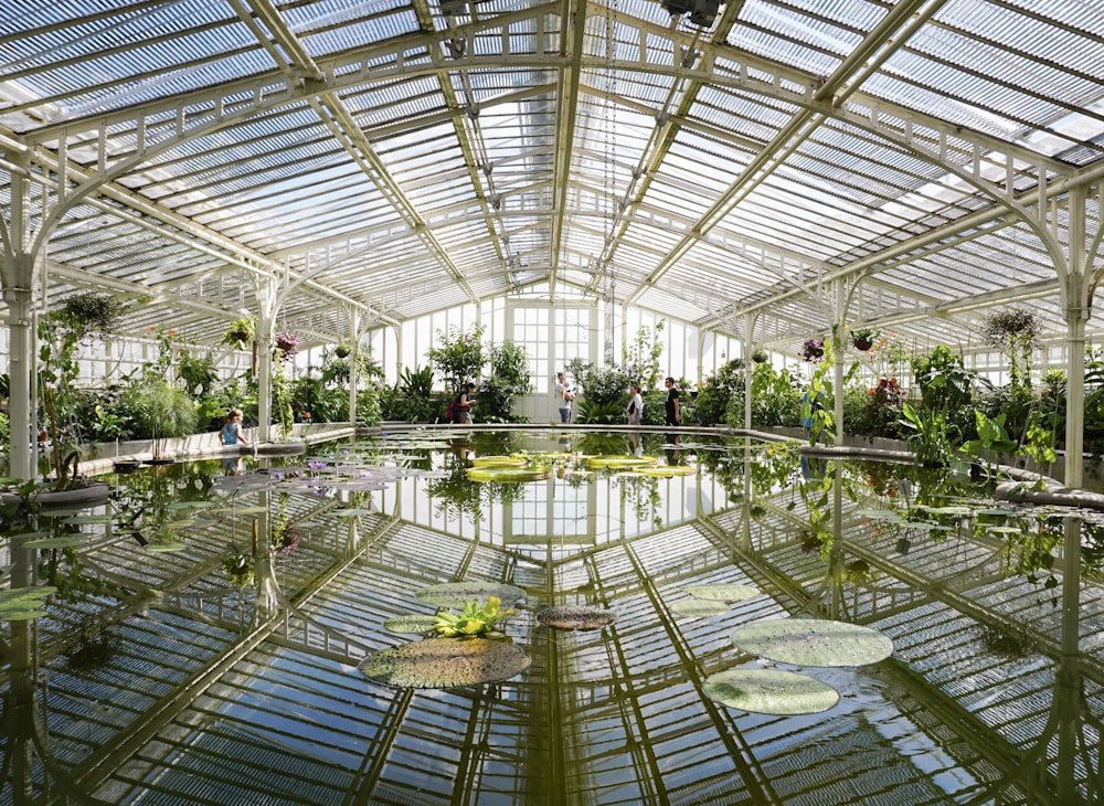 green plants inside white metal frame