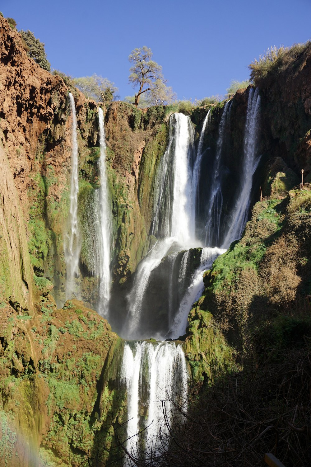 Cascadas en medio del bosque durante el día