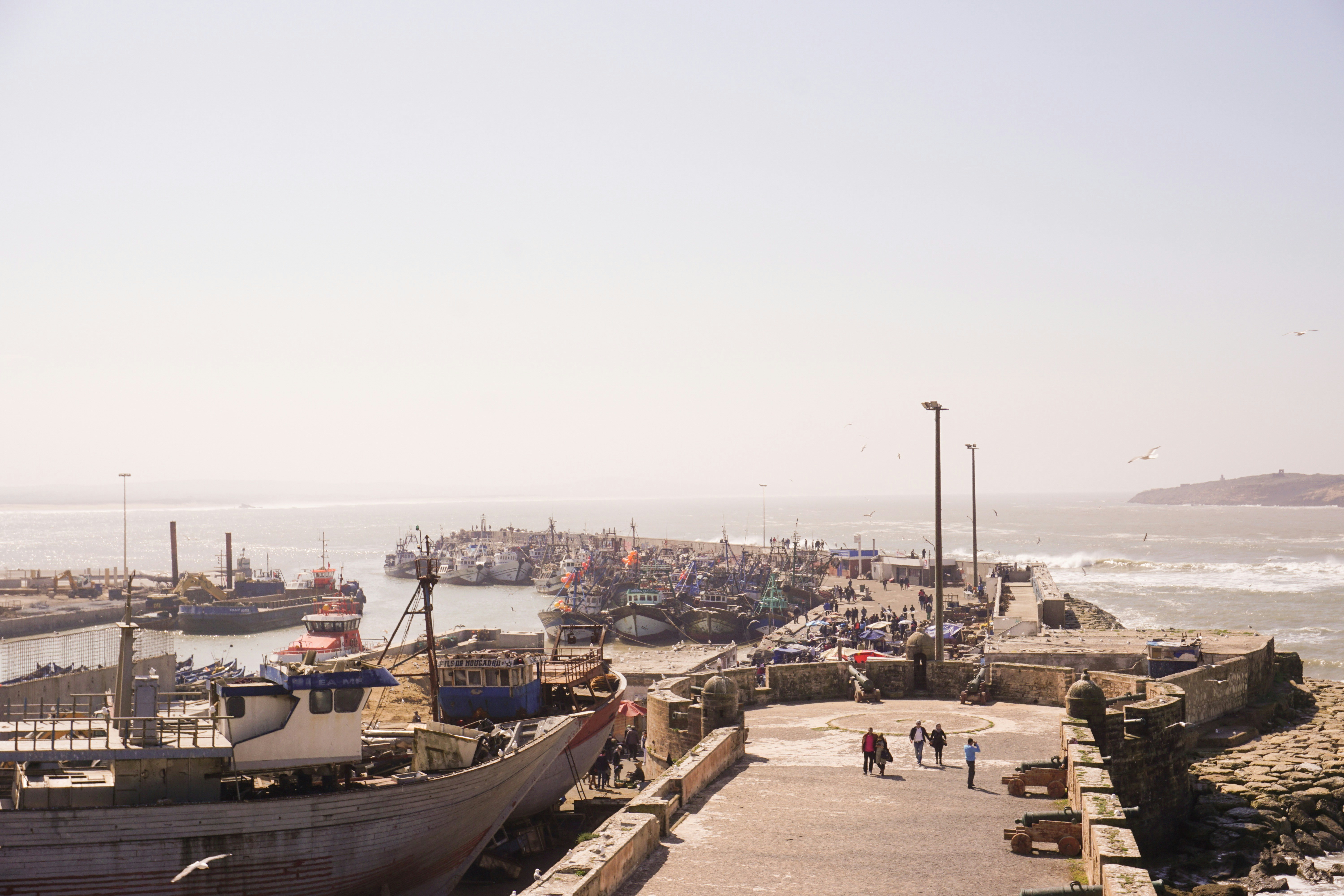 white and black boat on dock during daytime, The harbor of Essaouira, Morocco.