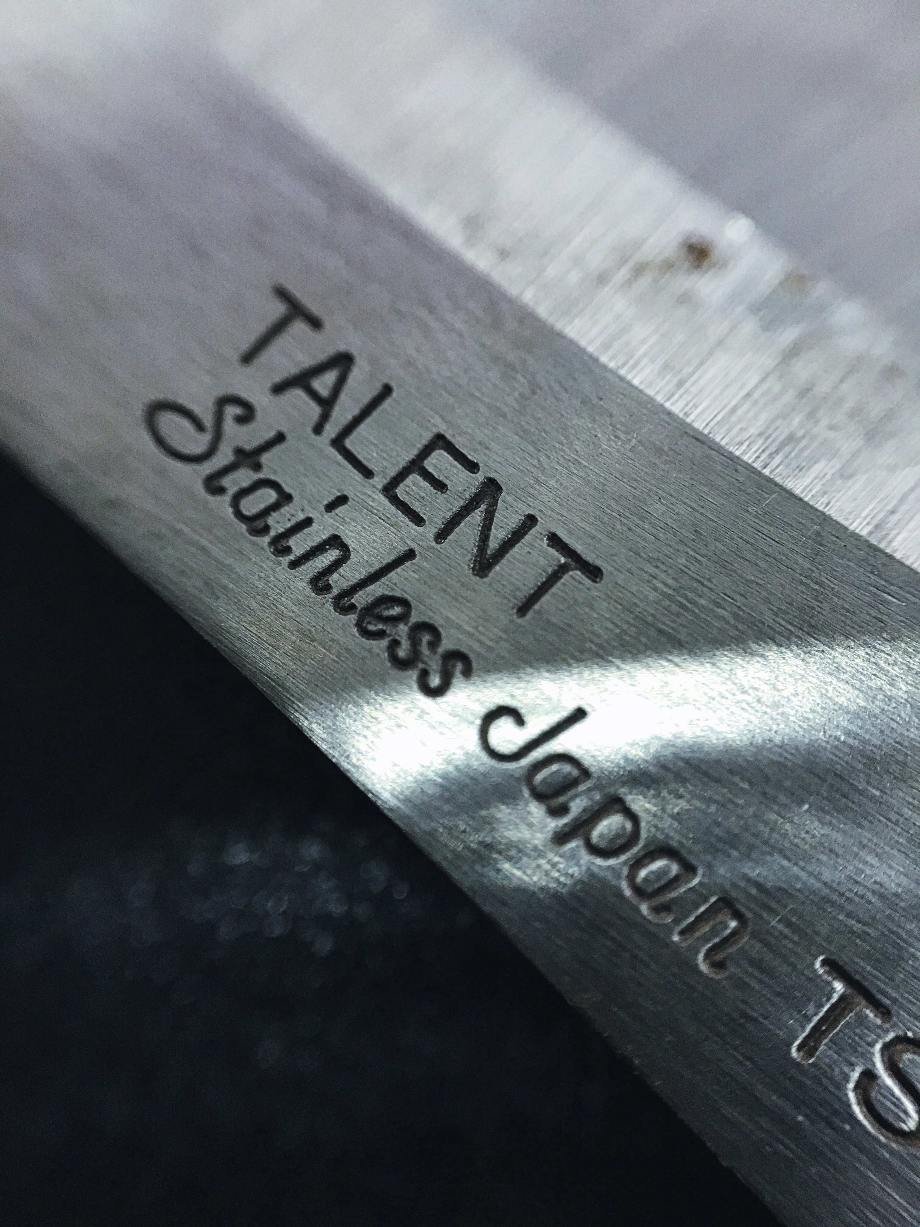 Custom Photo-Engraved Dog Tags