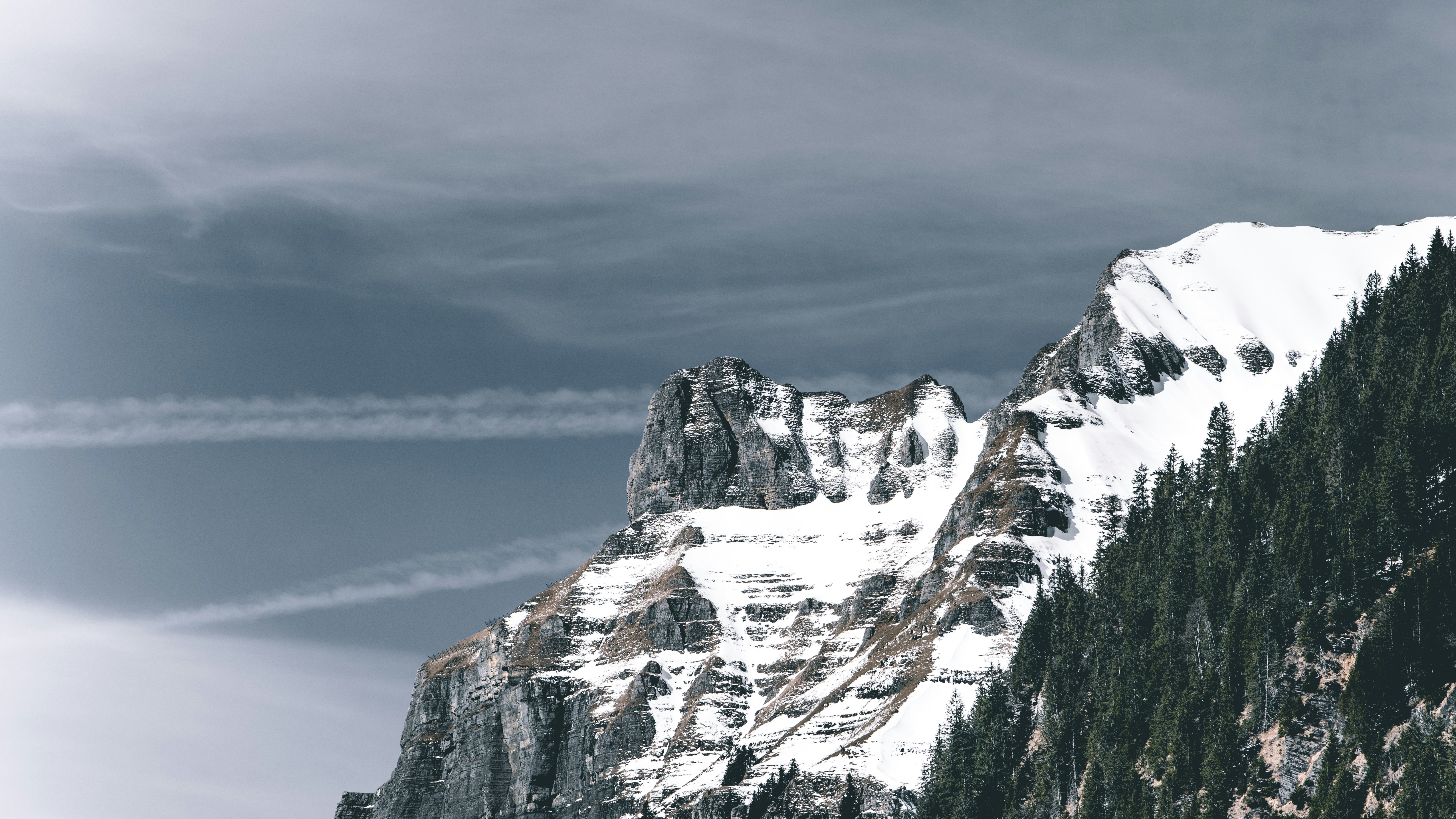 Photo by barnabartis