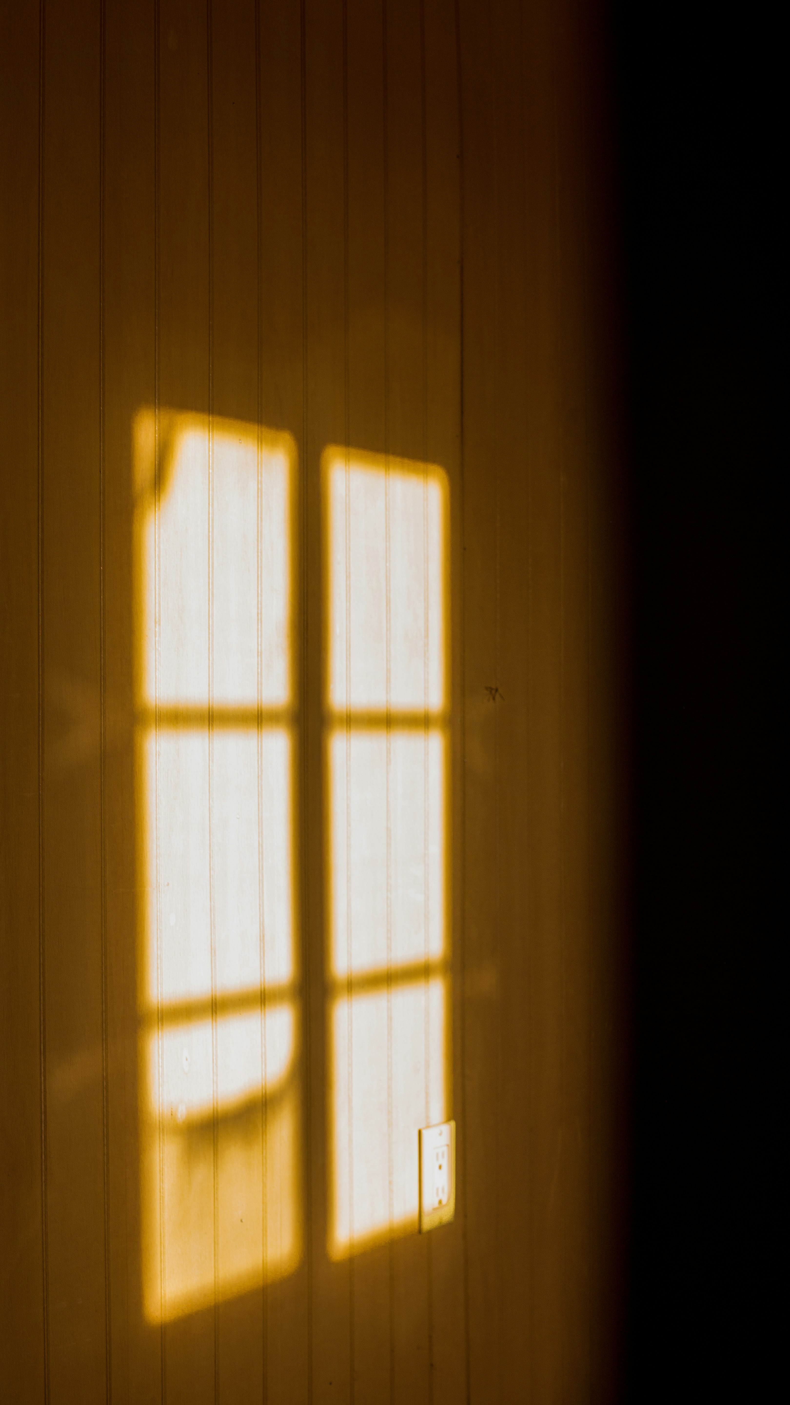 Photo by mannymisfit