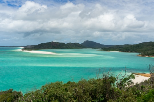 green trees near blue sea under white clouds and blue sky during daytime in Whitehaven Beach Australia