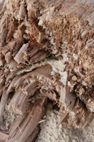 brown and white rock formation