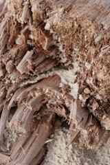 brown and white rock formation