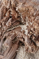 brown and white rock formation