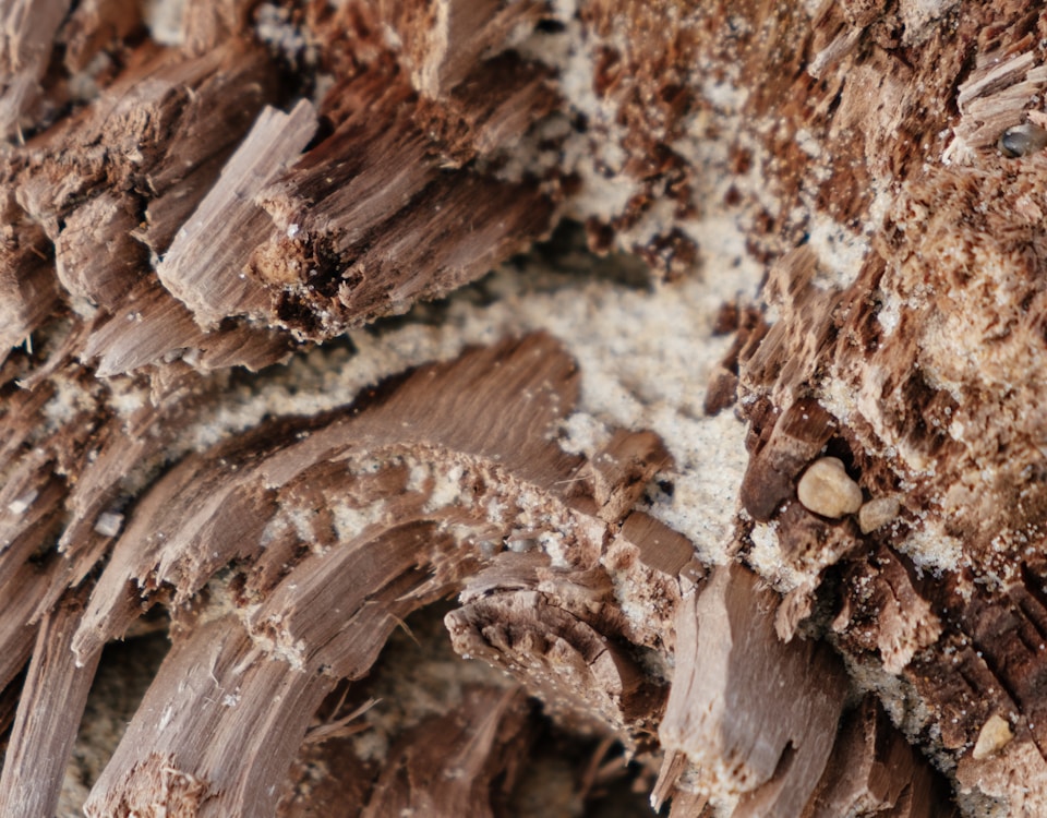 brown and white rock formation