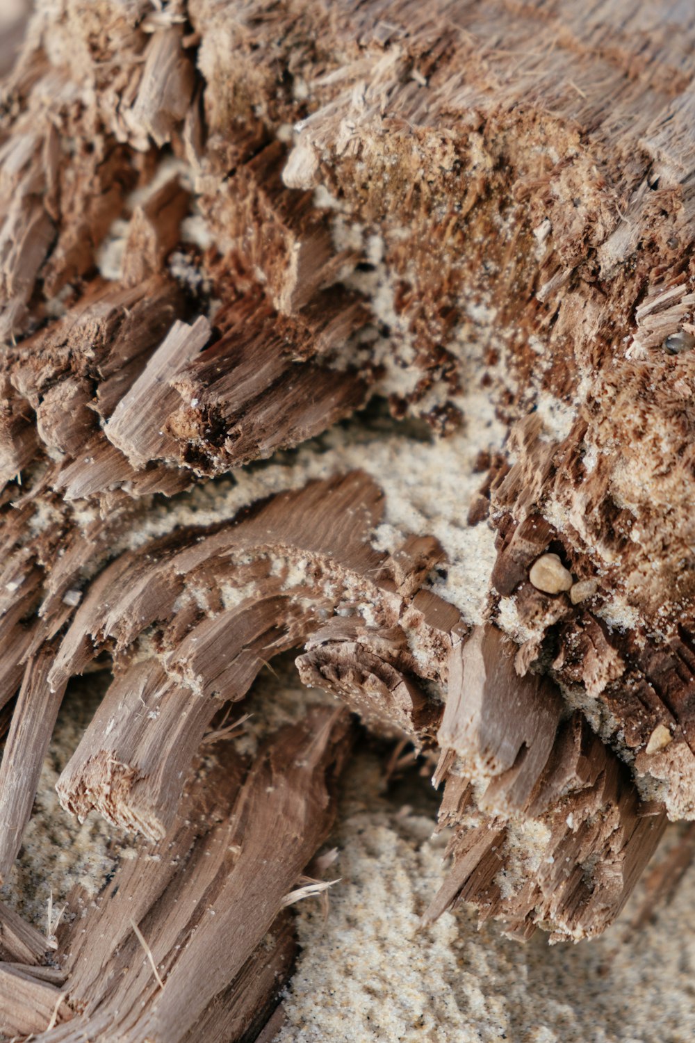 brown and white rock formation